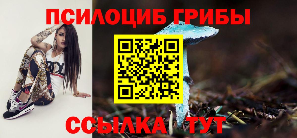 Новодвинск  Галлюциногенные грибы Psilocybe  Вход с VPN 